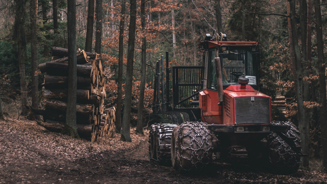 image of a forest with cut logs and forestry equipment