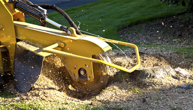 image of landscaping equipment grooming a tree